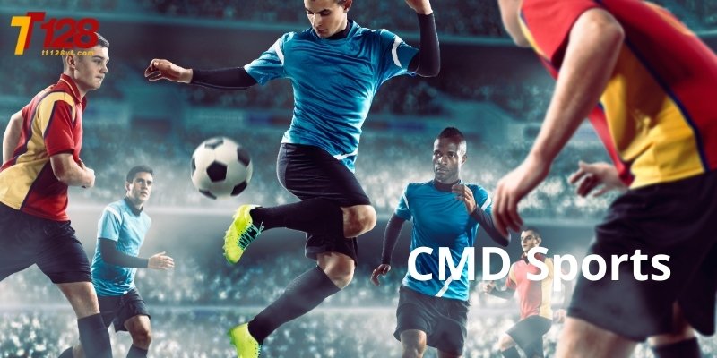 Sự minh bạch trong các thông số kèo khiến bet thủ an tâm
