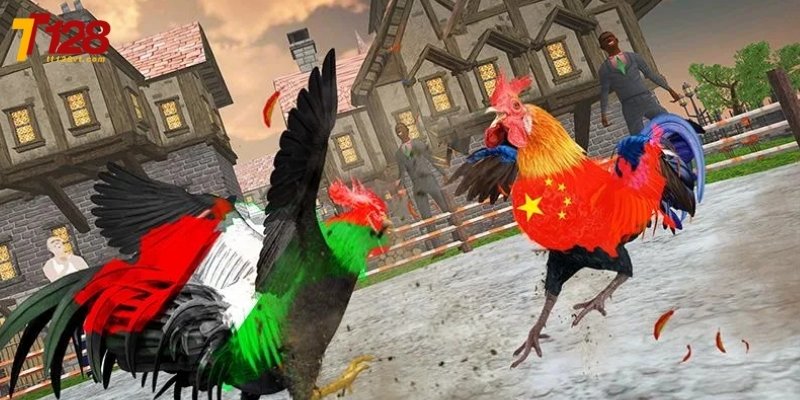 Xét xét kỹ thể trạng gà